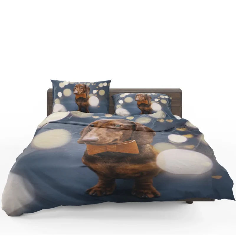 Glistening Bokeh Beauty: Dachshund Quartet Bedding Set