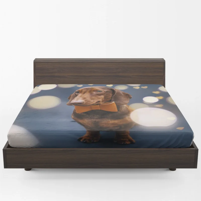 Glistening Bokeh Beauty: Dachshund Quartet Fitted Sheet 1