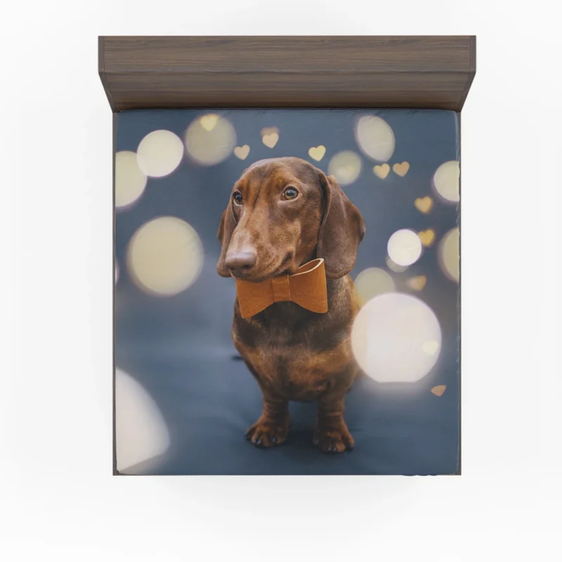 Glistening Bokeh Beauty: Dachshund Quartet Fitted Sheet