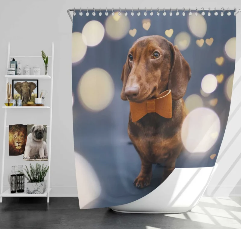 Glistening Bokeh Beauty: Dachshund Quartet Shower Curtain