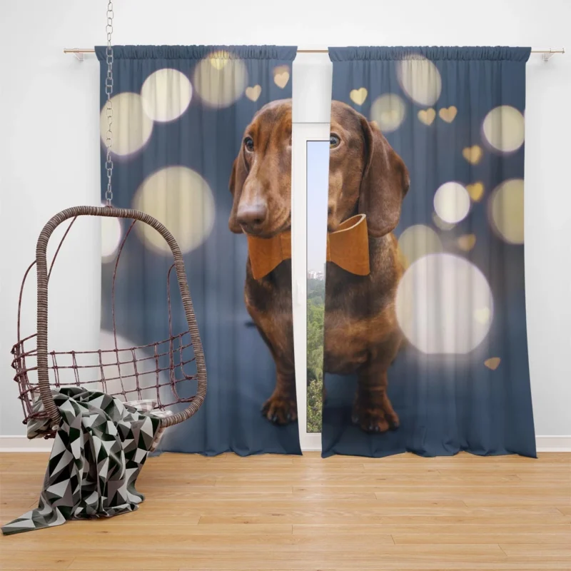 Glistening Bokeh Beauty: Dachshund Quartet Window Curtain