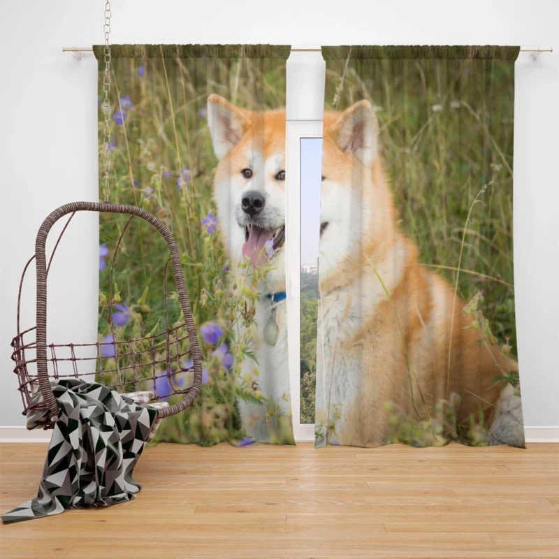 Graceful Amidst Flowers: The Akita Quartet Window Curtain