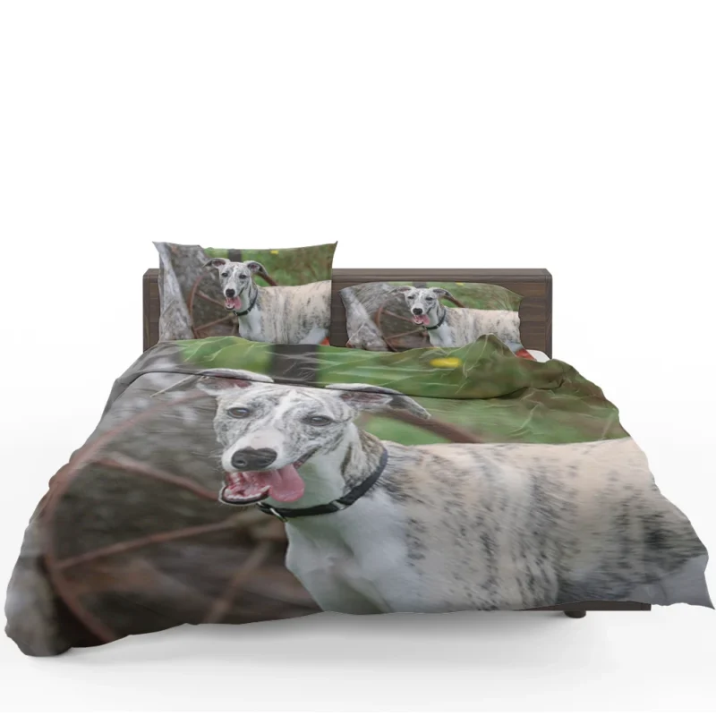 Graceful Canines in Motion: Whippet Quartet Bedding Set