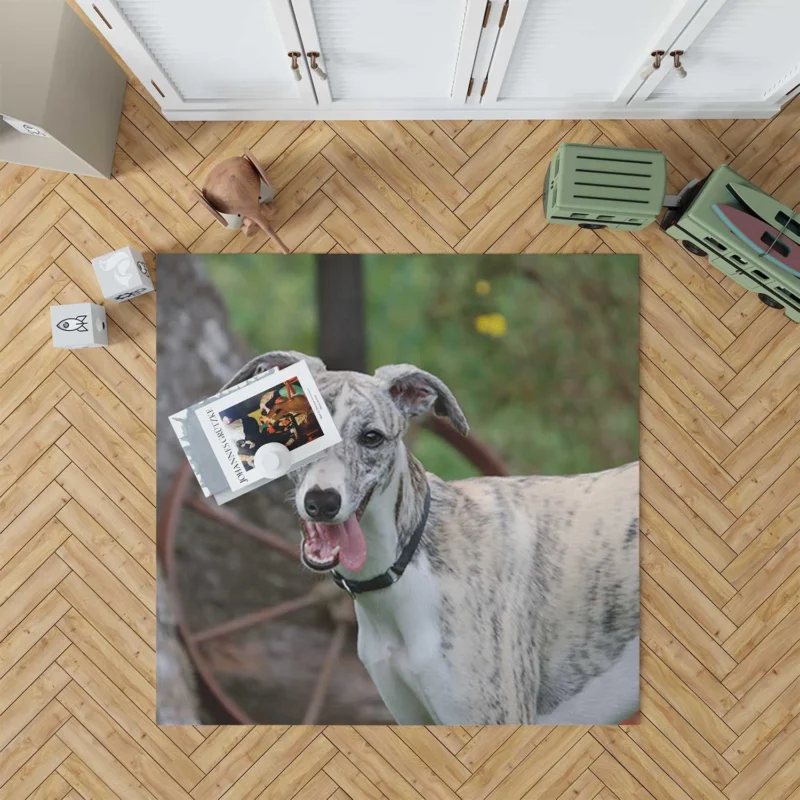 Graceful Canines in Motion: Whippet Quartet Floor Rug