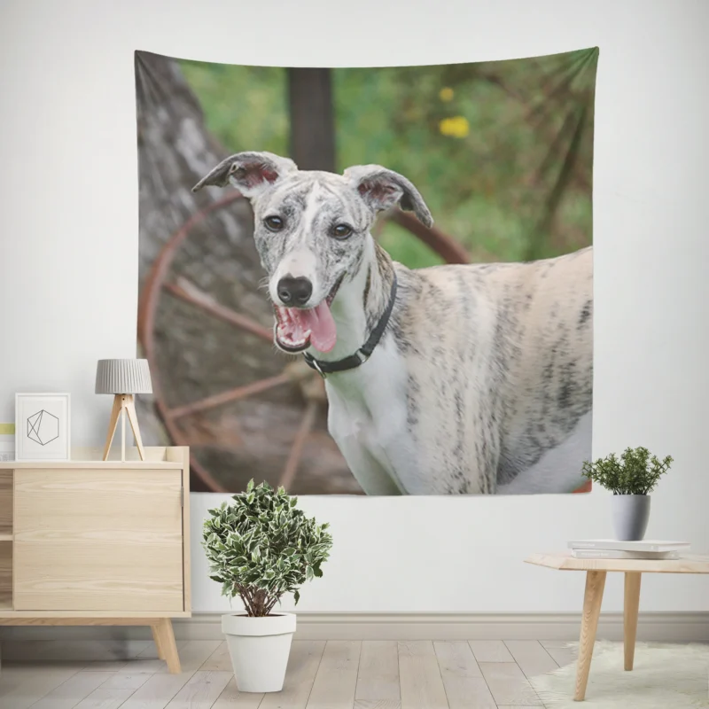 Graceful Canines in Motion  Whippet Quartet Wall Tapestry