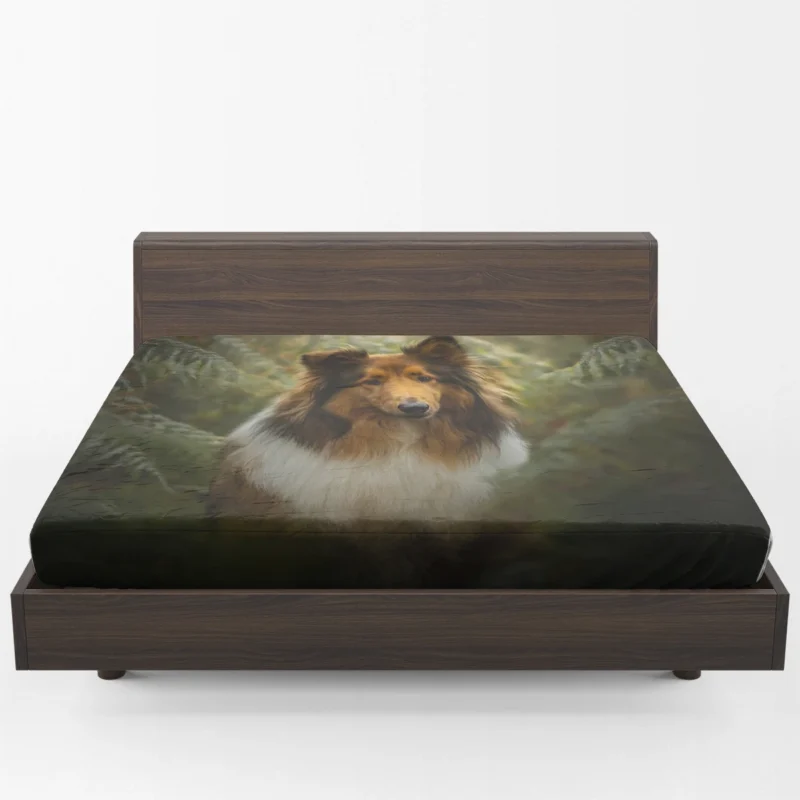 Graceful Harmony: Shetland Sheepdog Quartet Fitted Sheet 1