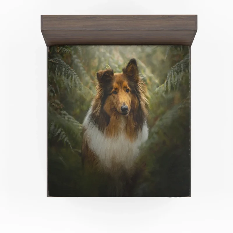 Graceful Harmony: Shetland Sheepdog Quartet Fitted Sheet