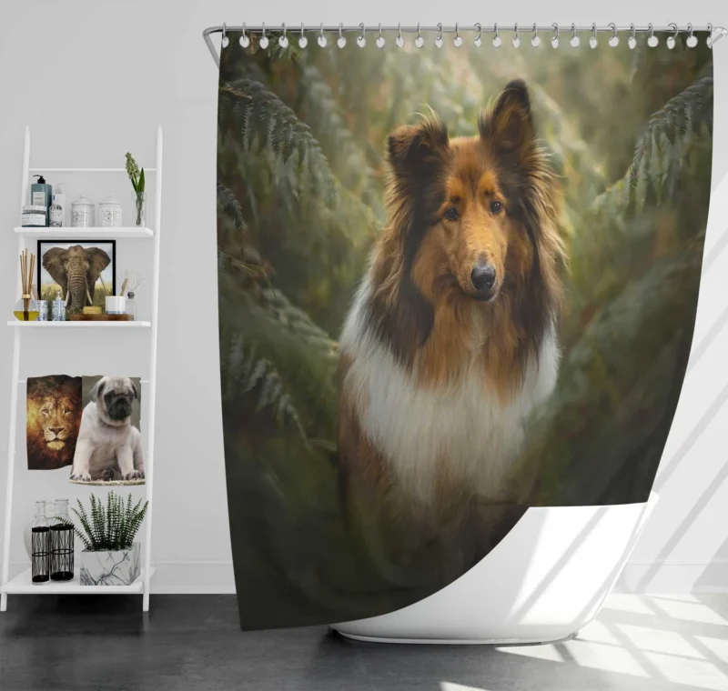 Graceful Harmony: Shetland Sheepdog Quartet Shower Curtain