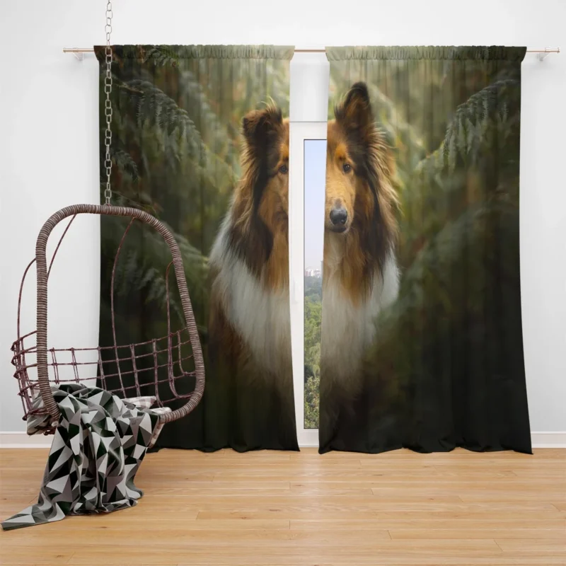 Graceful Harmony: Shetland Sheepdog Quartet Window Curtain