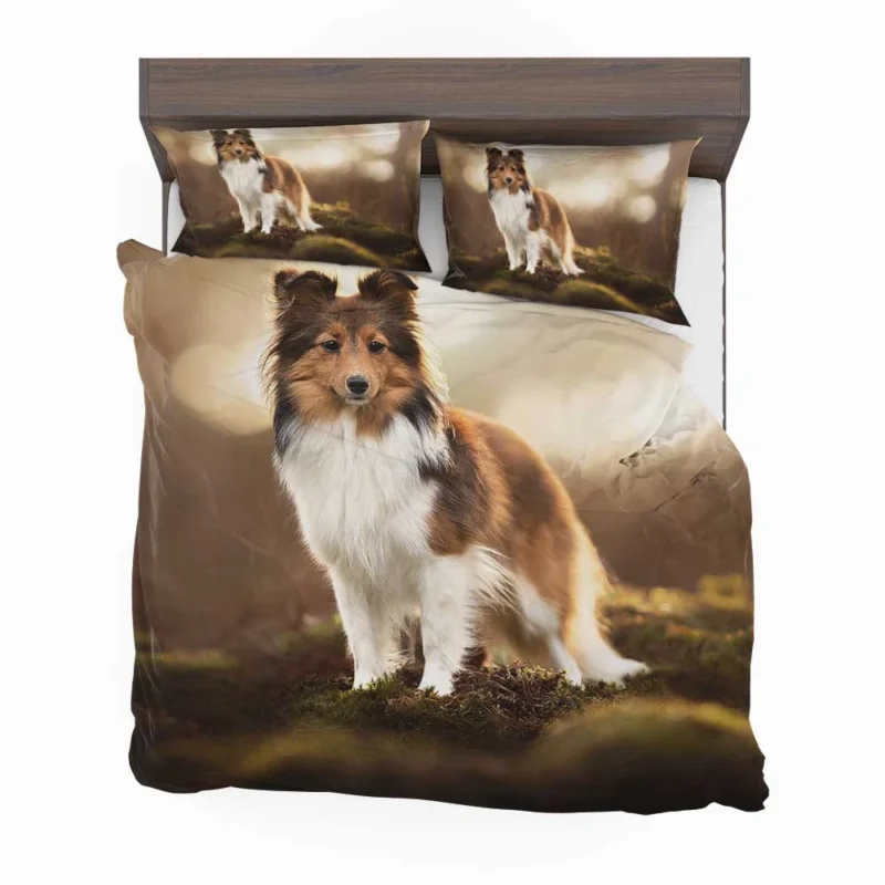 Graceful Shetland Sheepdog Assembly: Quartet Bedding Set 1