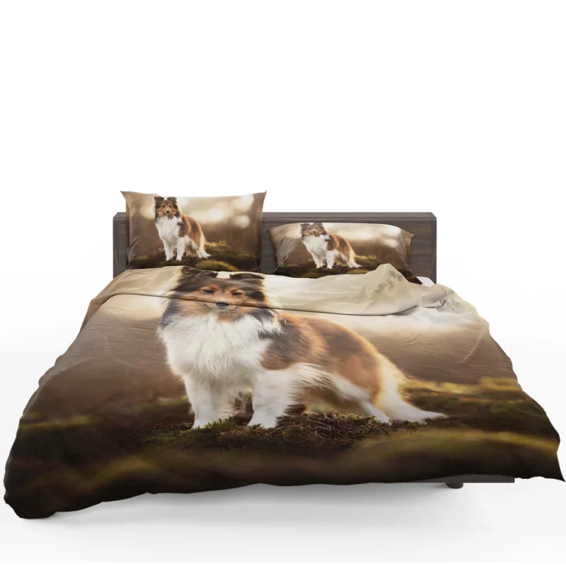 Graceful Shetland Sheepdog Assembly: Quartet Bedding Set