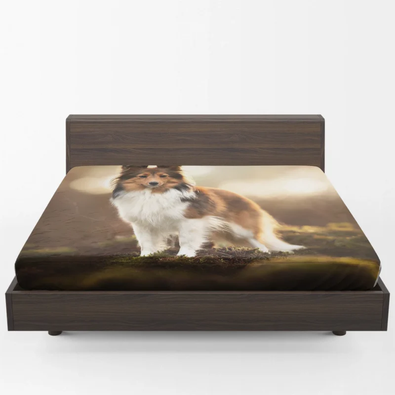 Graceful Shetland Sheepdog Assembly: Quartet Fitted Sheet 1