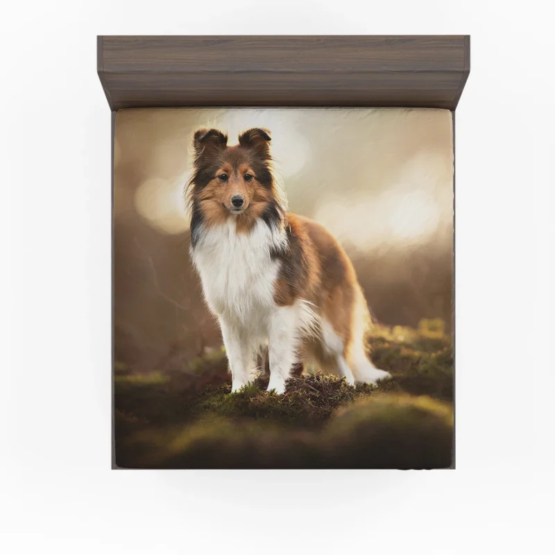 Graceful Shetland Sheepdog Assembly: Quartet Fitted Sheet