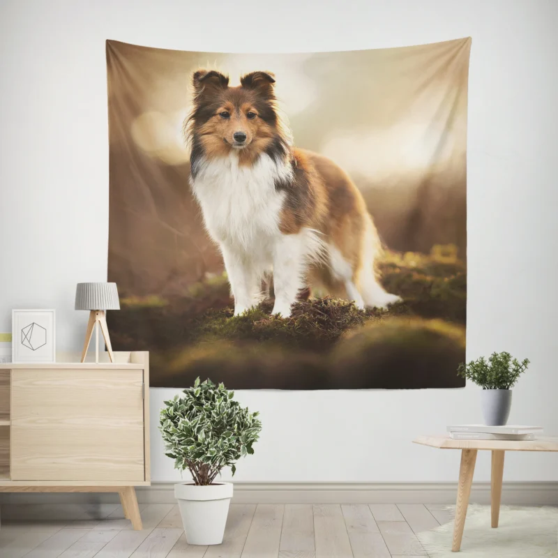 Graceful Shetland Sheepdog Assembly  Quartet Wall Tapestry