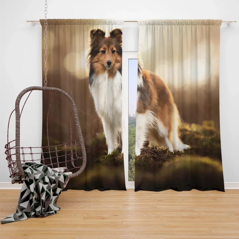 Graceful Shetland Sheepdog Assembly: Quartet Window Curtain