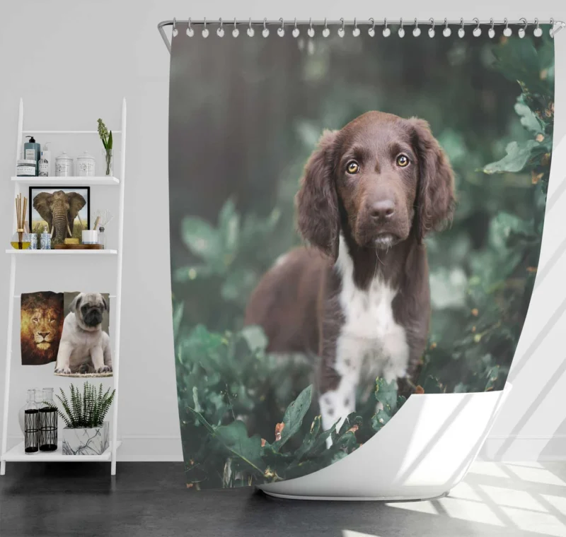 Graceful Spaniel Quartet Shower Curtain