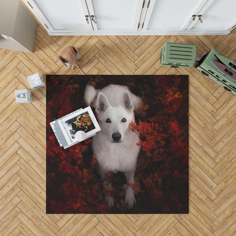 Graceful Swiss Companions: White Shepherd Quartet Floor Rug