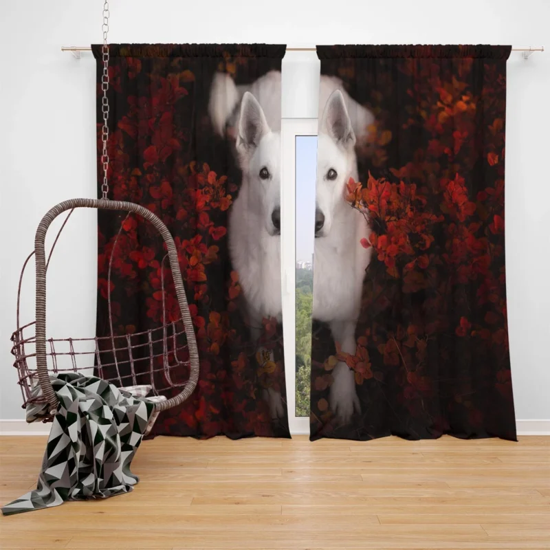 Graceful Swiss Companions: White Shepherd Quartet Window Curtain