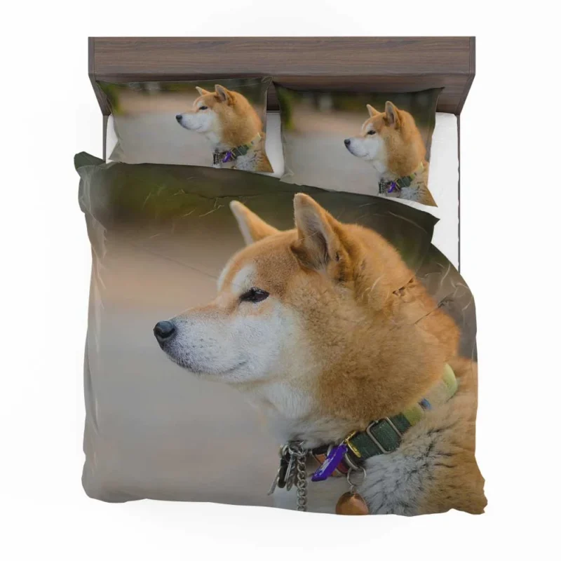 Graceful and Elegant: Shiba Inu Quartet Bedding Set 1