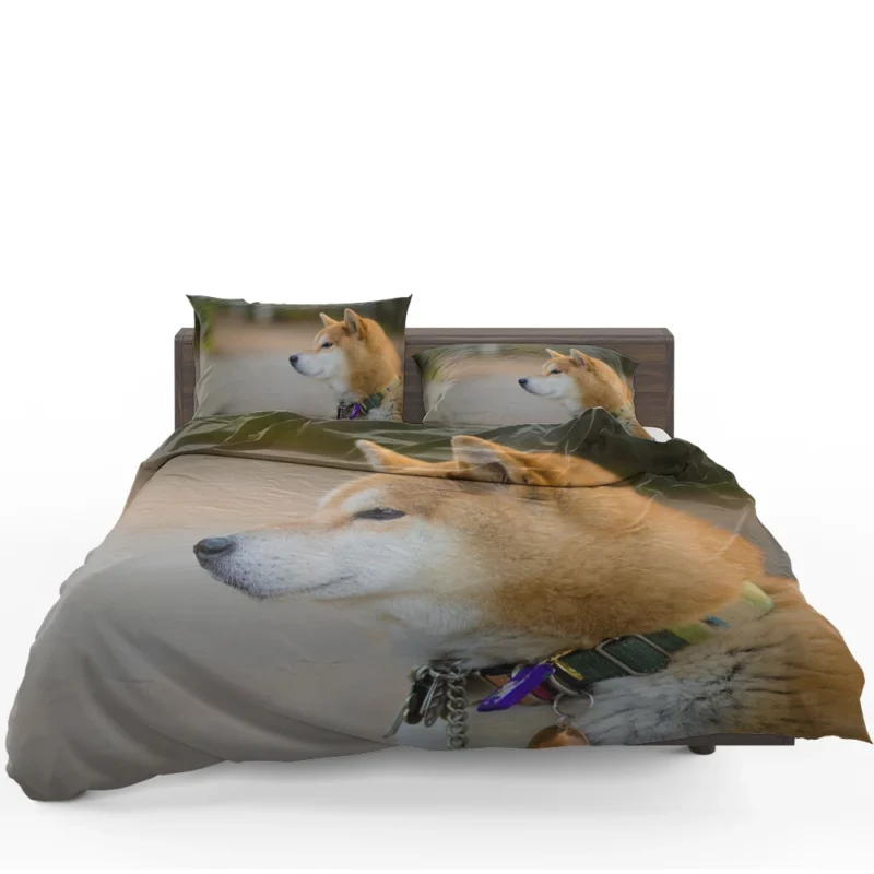 Graceful and Elegant: Shiba Inu Quartet Bedding Set