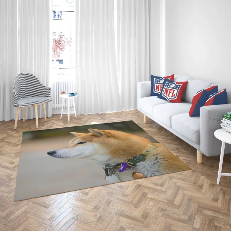 Graceful and Elegant: Shiba Inu Quartet Floor Rug 2