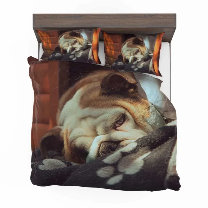 Graceful and Gentle: Bulldog Quartet Bedding Set 1