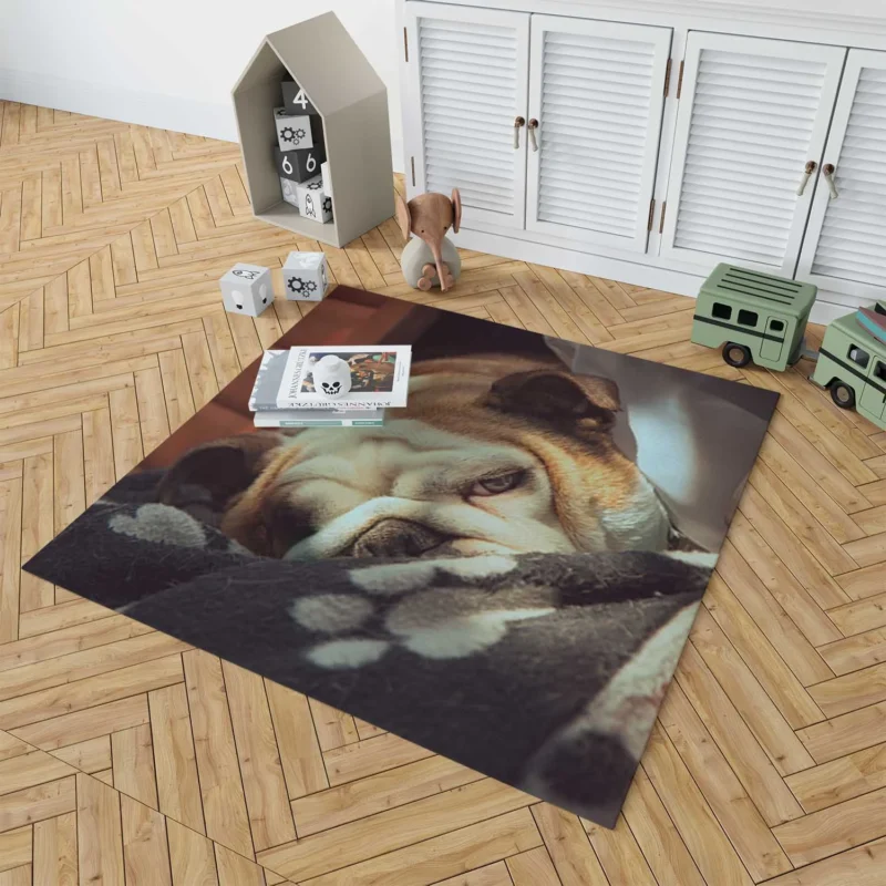 Graceful and Gentle: Bulldog Quartet Floor Rug 1