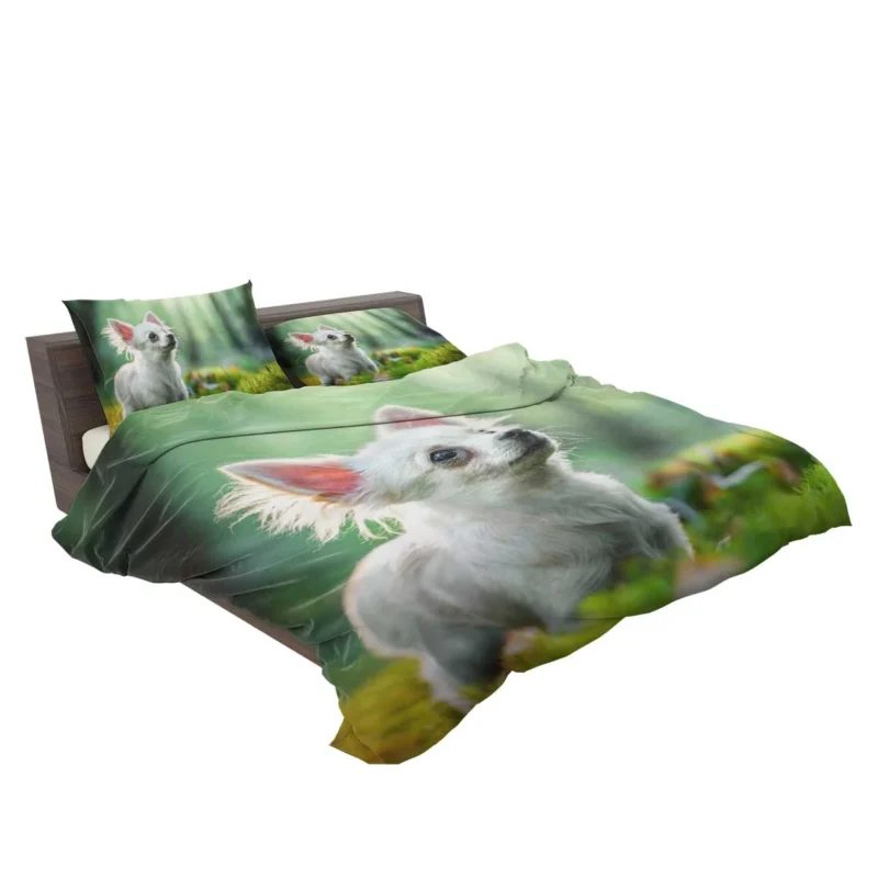 Graceful and Glorious: Chihuahua Quartet Bedding Set 2