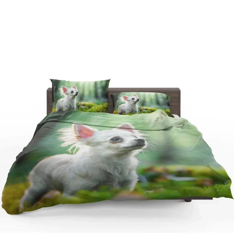Graceful and Glorious: Chihuahua Quartet Bedding Set