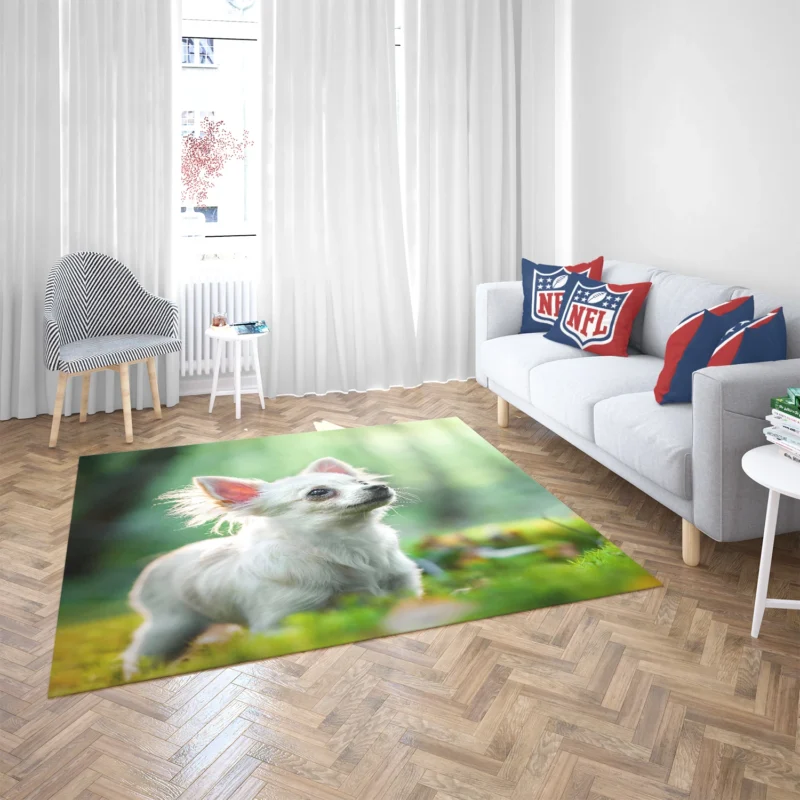 Graceful and Glorious: Chihuahua Quartet Floor Rug 2