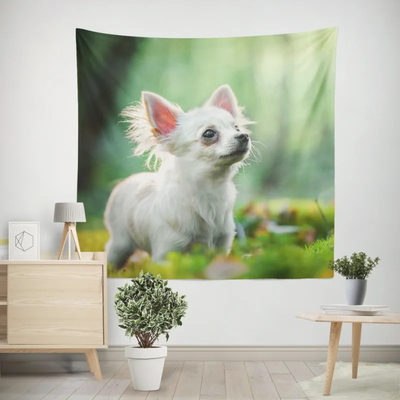 Graceful and Glorious  Chihuahua Quartet Wall Tapestry