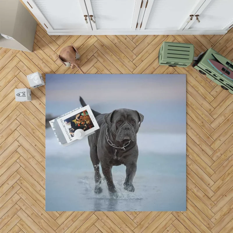 Graceful and Majestic: Cane Corso Quartet Floor Rug