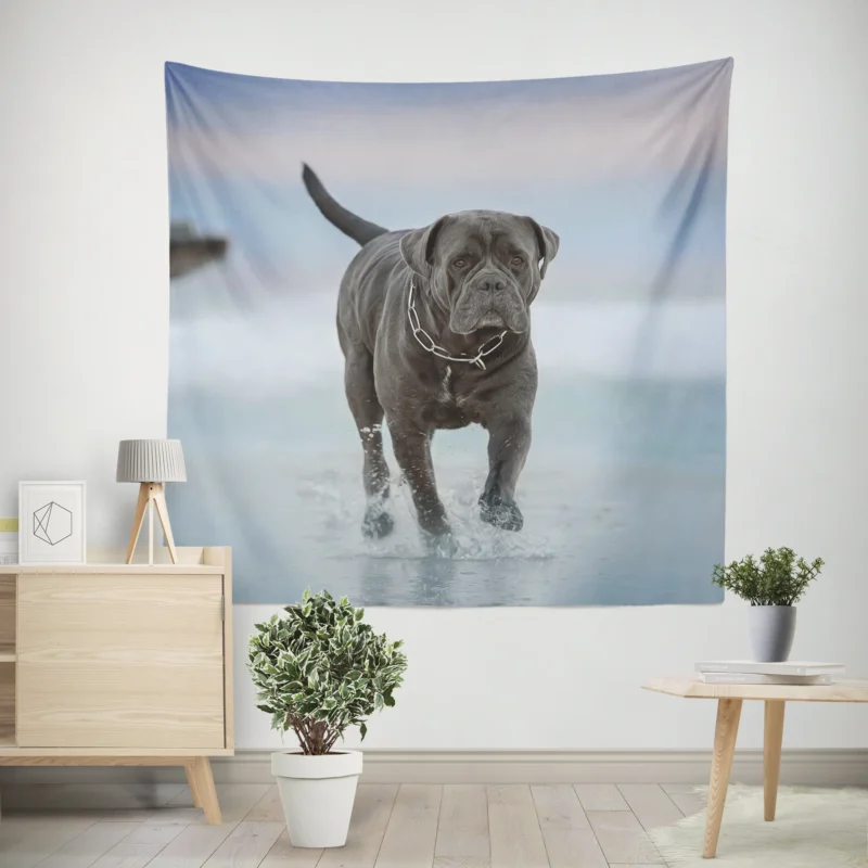 Graceful and Majestic  Cane Corso Quartet Wall Tapestry