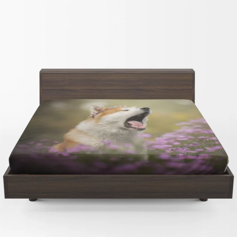 Graceful and Majestic: The Akita Quartet Fitted Sheet 1