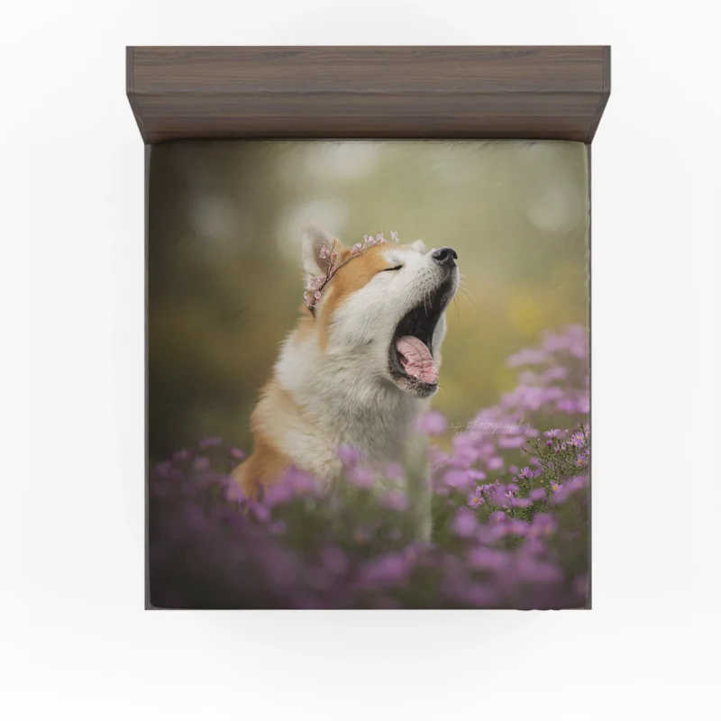 Graceful and Majestic: The Akita Quartet Fitted Sheet