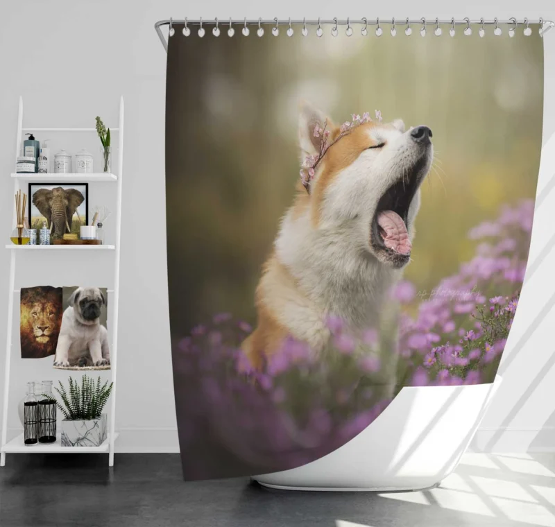 Graceful and Majestic: The Akita Quartet Shower Curtain