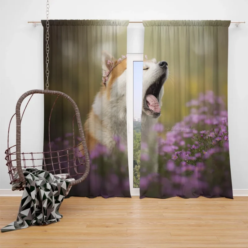 Graceful and Majestic: The Akita Quartet Window Curtain