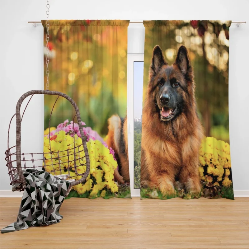 Guard Dogs: German Shepherd Excellence Window Curtain