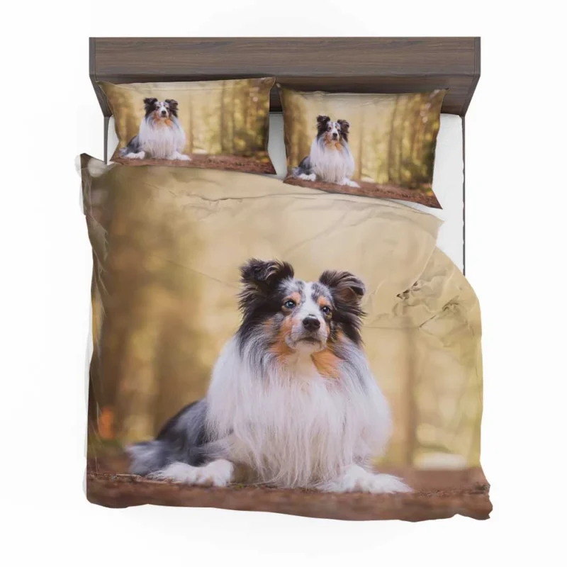 Harmonious Shetland Sheepdog Ensemble: Quartet Bedding Set 1