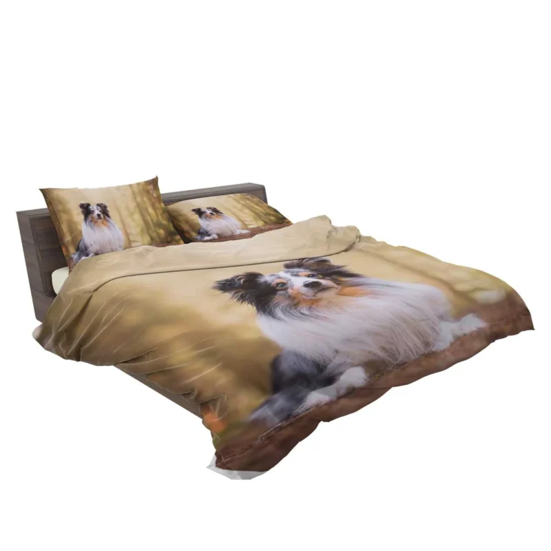 Harmonious Shetland Sheepdog Ensemble: Quartet Bedding Set 2