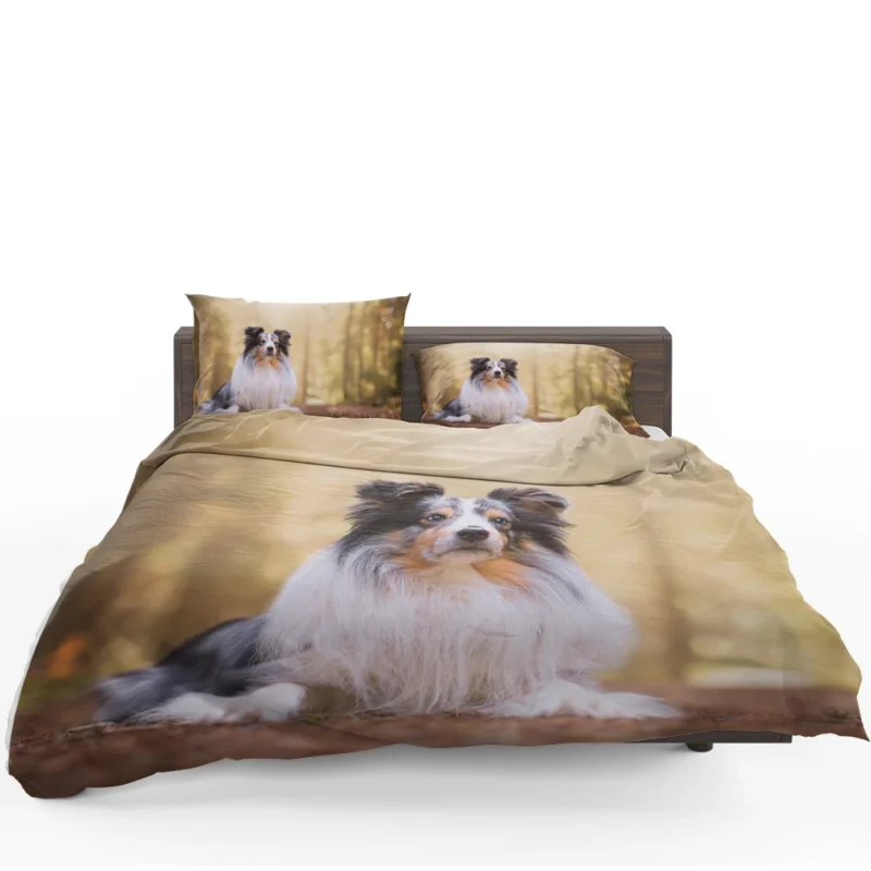 Harmonious Shetland Sheepdog Ensemble: Quartet Bedding Set