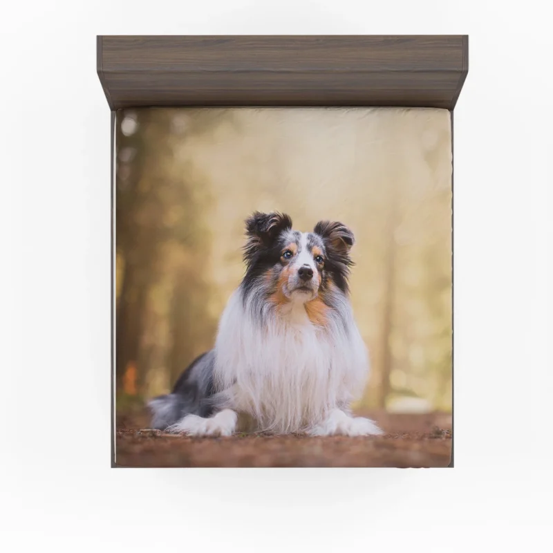 Harmonious Shetland Sheepdog Ensemble: Quartet Fitted Sheet