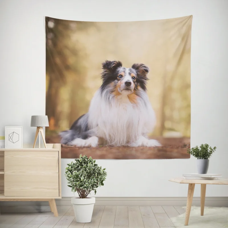 Harmonious Shetland Sheepdog Ensemble  Quartet Wall Tapestry