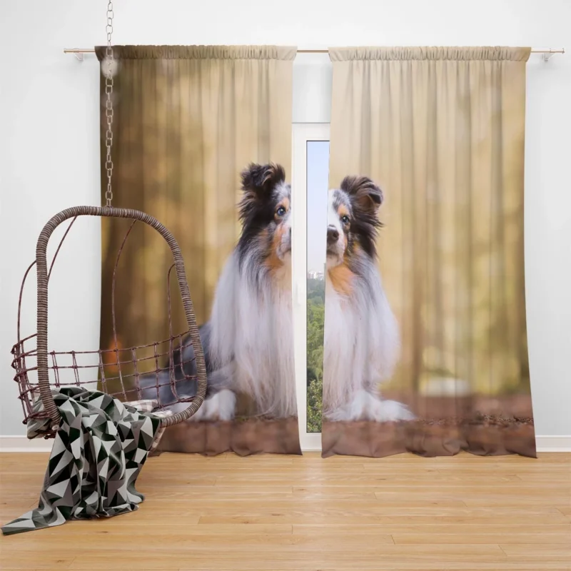 Harmonious Shetland Sheepdog Ensemble: Quartet Window Curtain