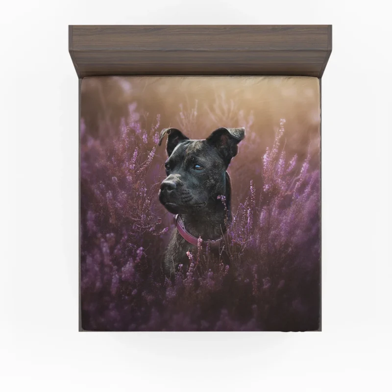 Heather Hued Hounds: Bull Terrier Quartet Fitted Sheet