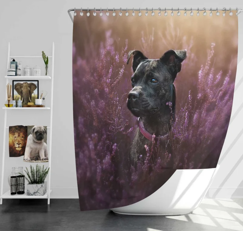 Heather Hued Hounds: Bull Terrier Quartet Shower Curtain