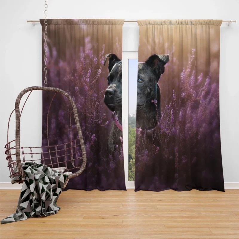 Heather Hued Hounds: Bull Terrier Quartet Window Curtain