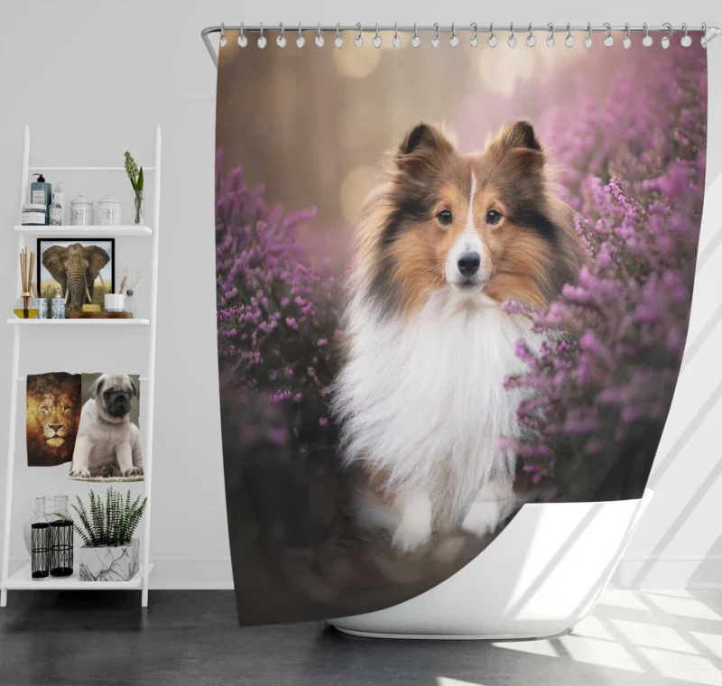 Heather Landscape: Shetland Sheepdog Quartet Shower Curtain