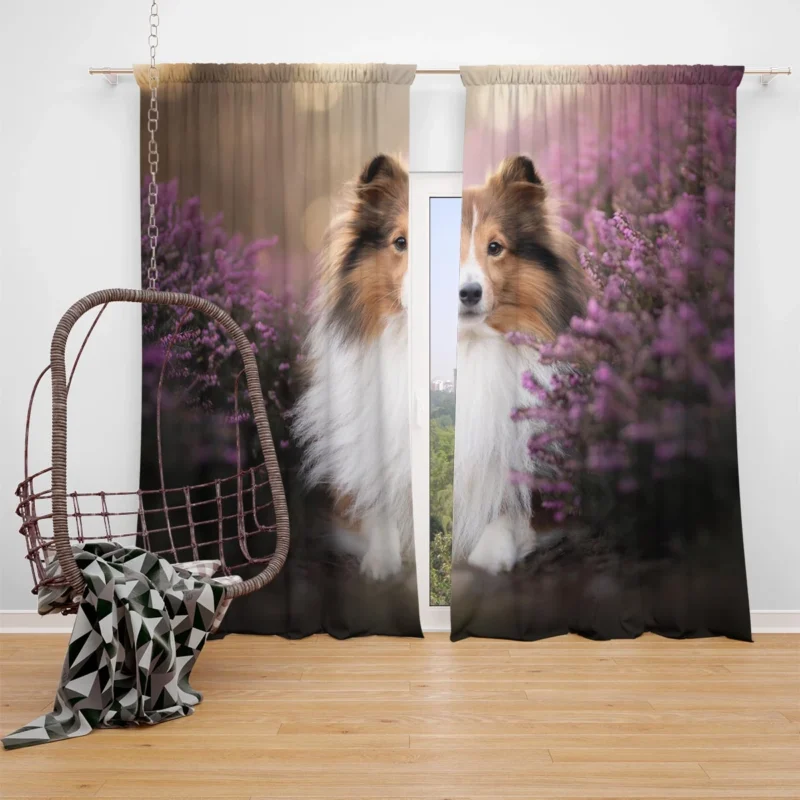 Heather Landscape: Shetland Sheepdog Quartet Window Curtain