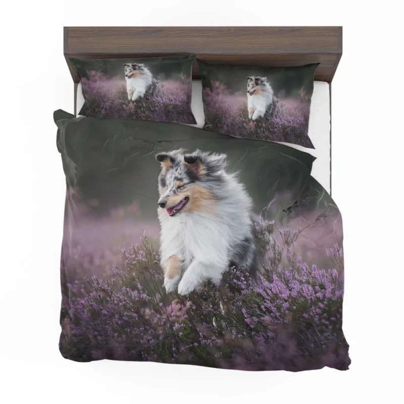 Heather Splendor: Shetland Sheepdog Quartet Bedding Set 1